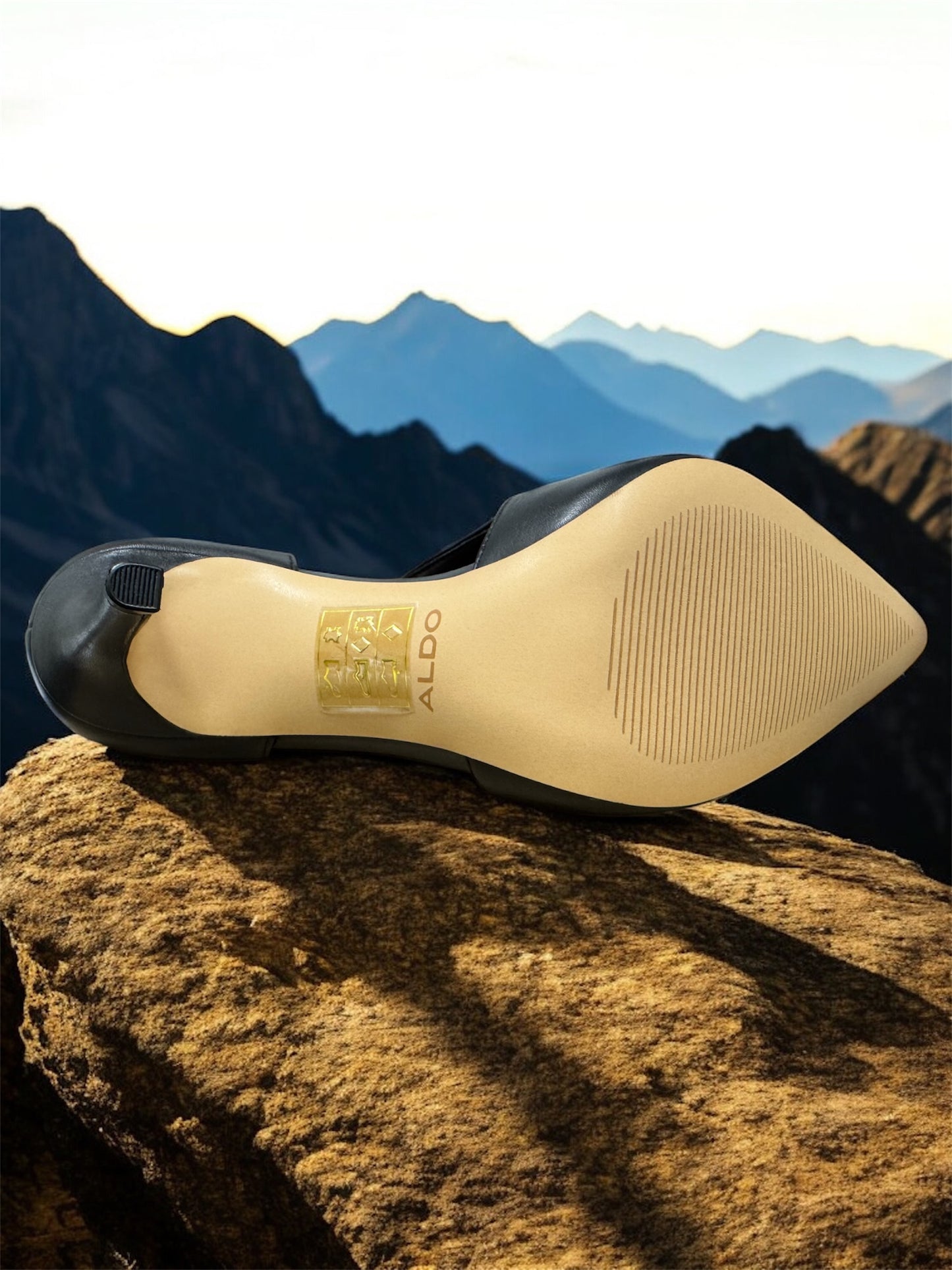 Aldo Eladrielia women's high heels