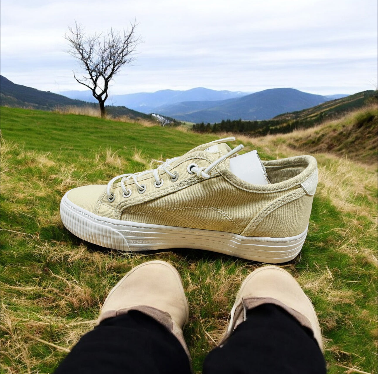 Mustang Damen Sneaker in Beige Herstellernummer: 903493 ( Letzte Stück ) - Lieber Deem  Billiger Shop