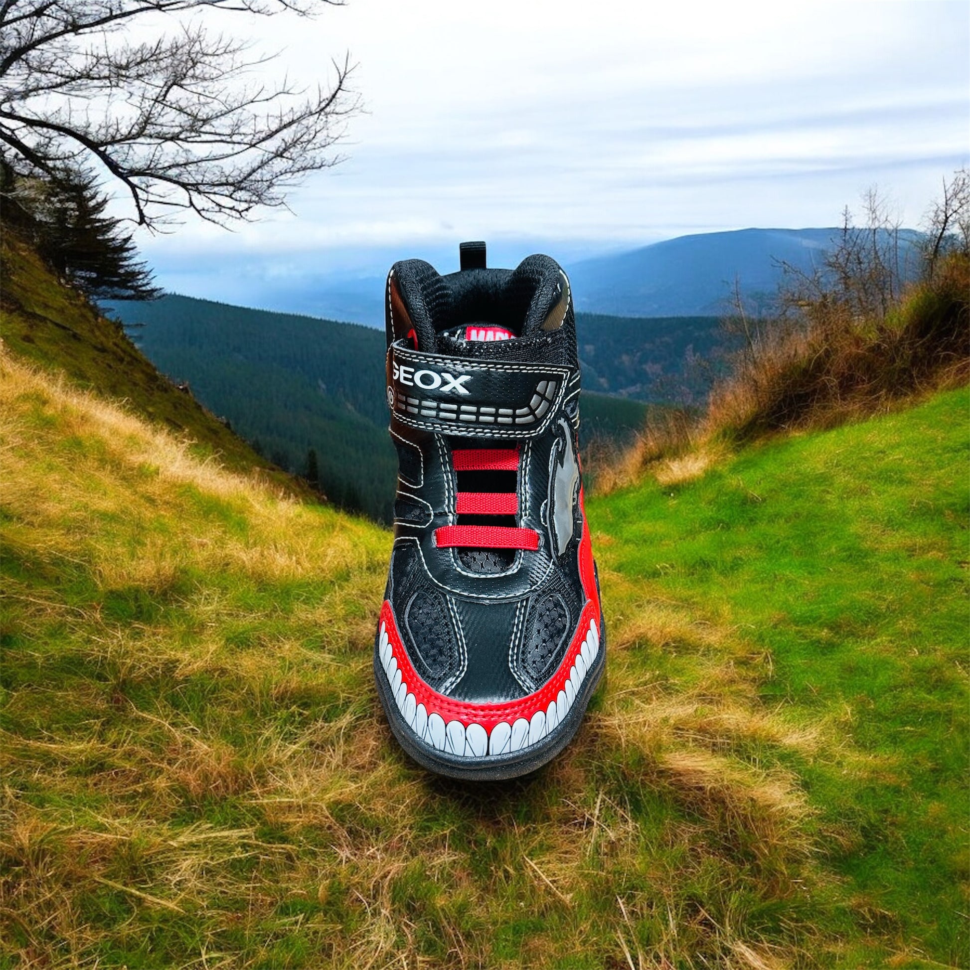 Geox J Gray Jay B.D. Text+Prin.DBK Kinder Schuhe Herstellernummer : J269YD011CEC0048/33 ( Letzte Stück ) - Lieber Deem  Billiger Shop