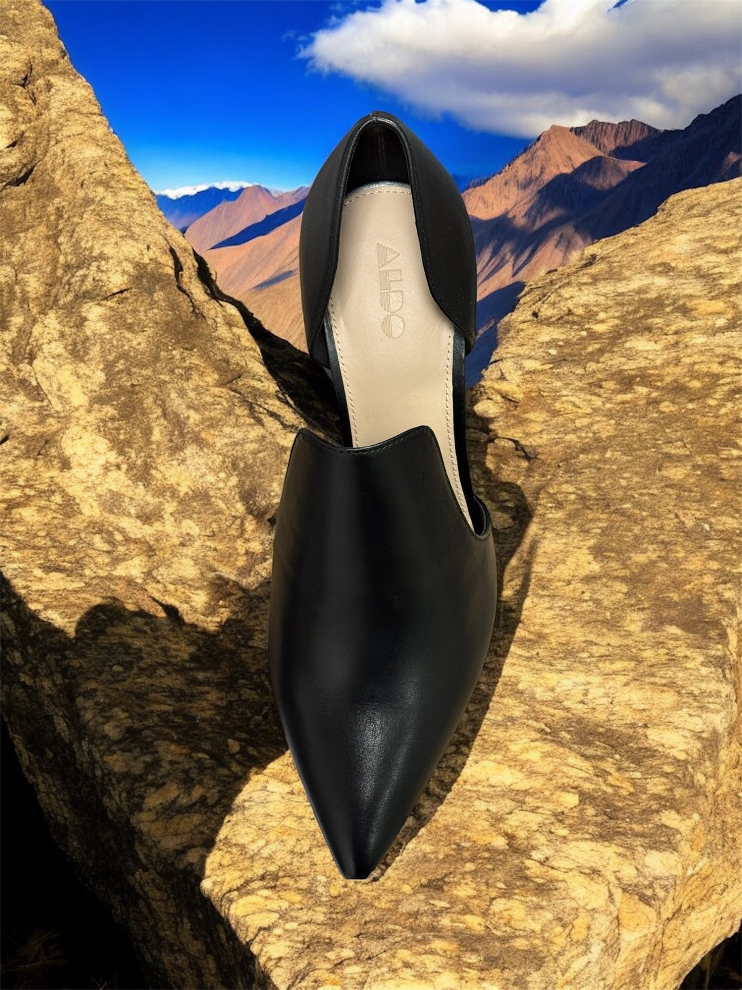 Aldo Eladrielia women's high heels