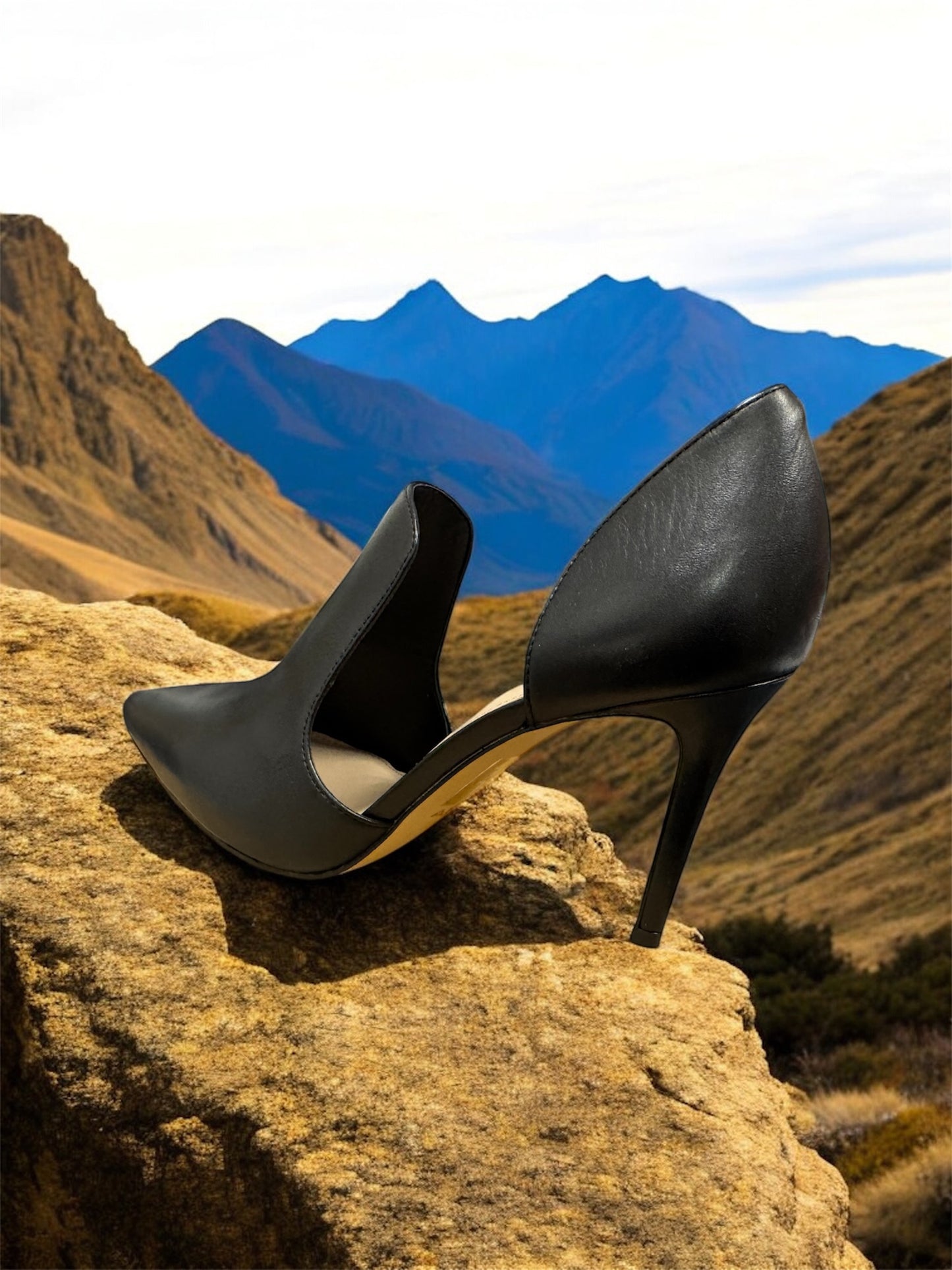 Aldo Eladrielia women's high heels